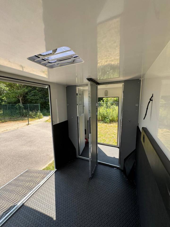 Van per Cavalli AP Petit Renault Master 2019 Occasione