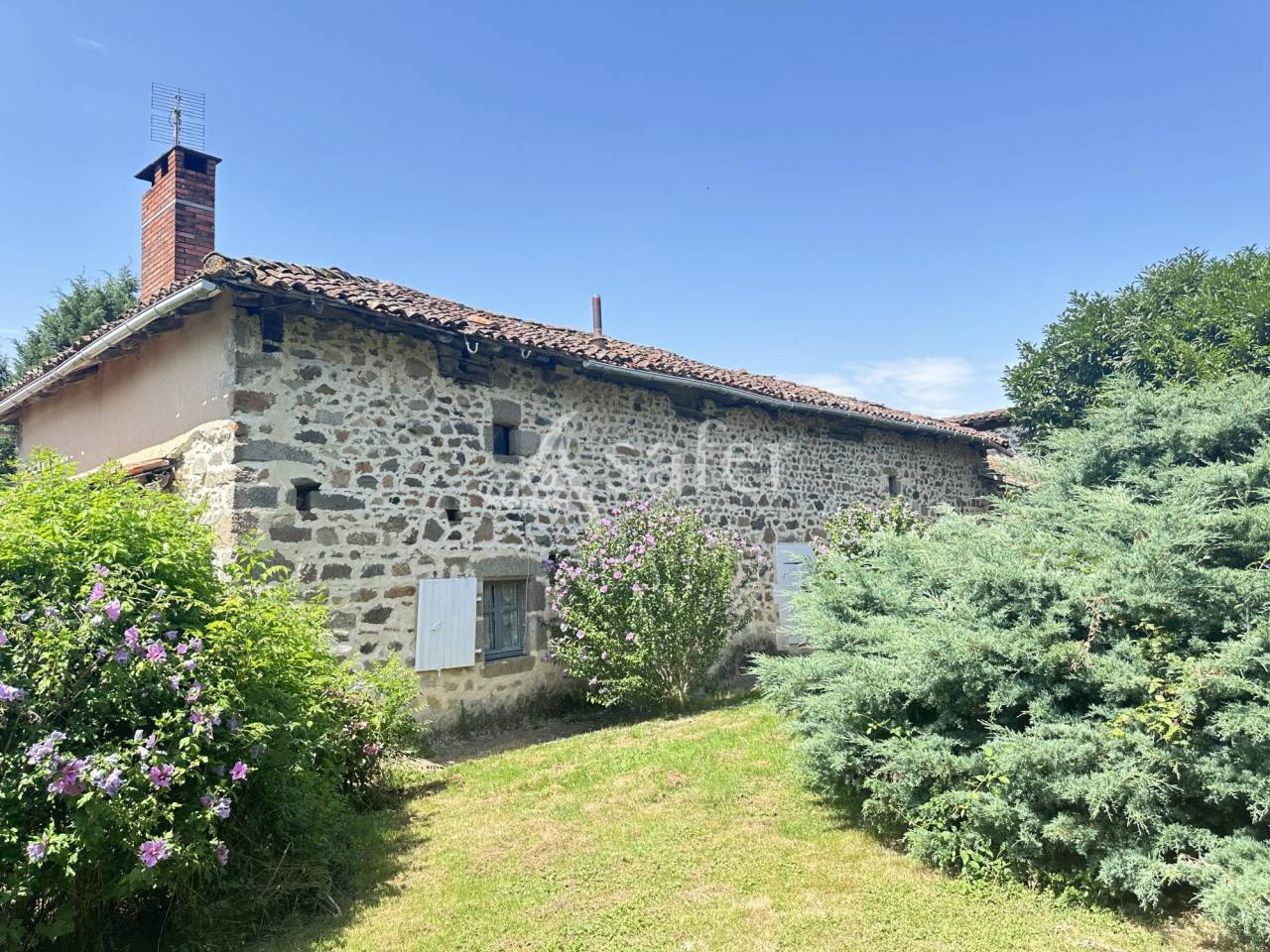 Azienda agricola In vendita Charente