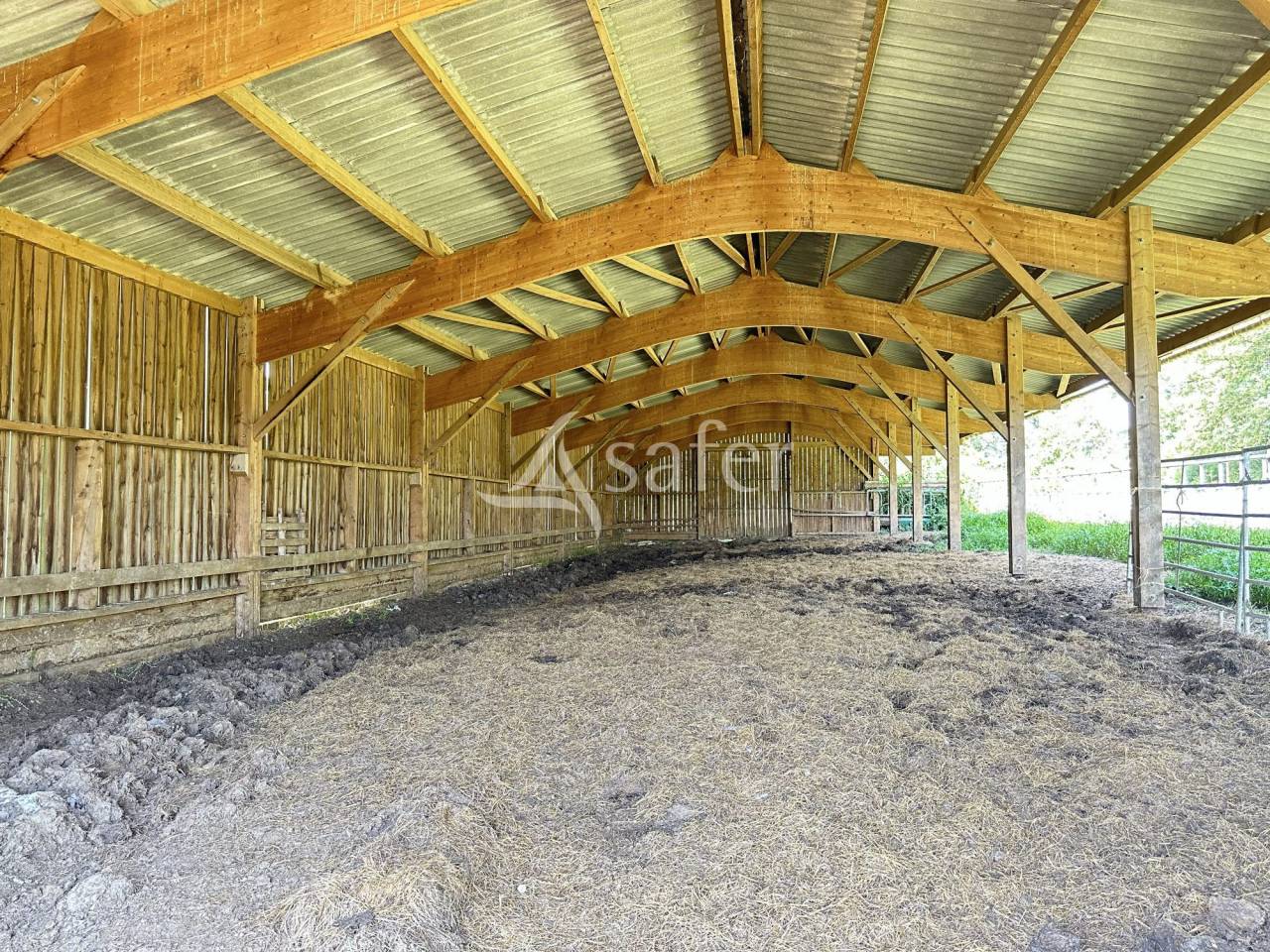 Azienda agricola In vendita Charente
