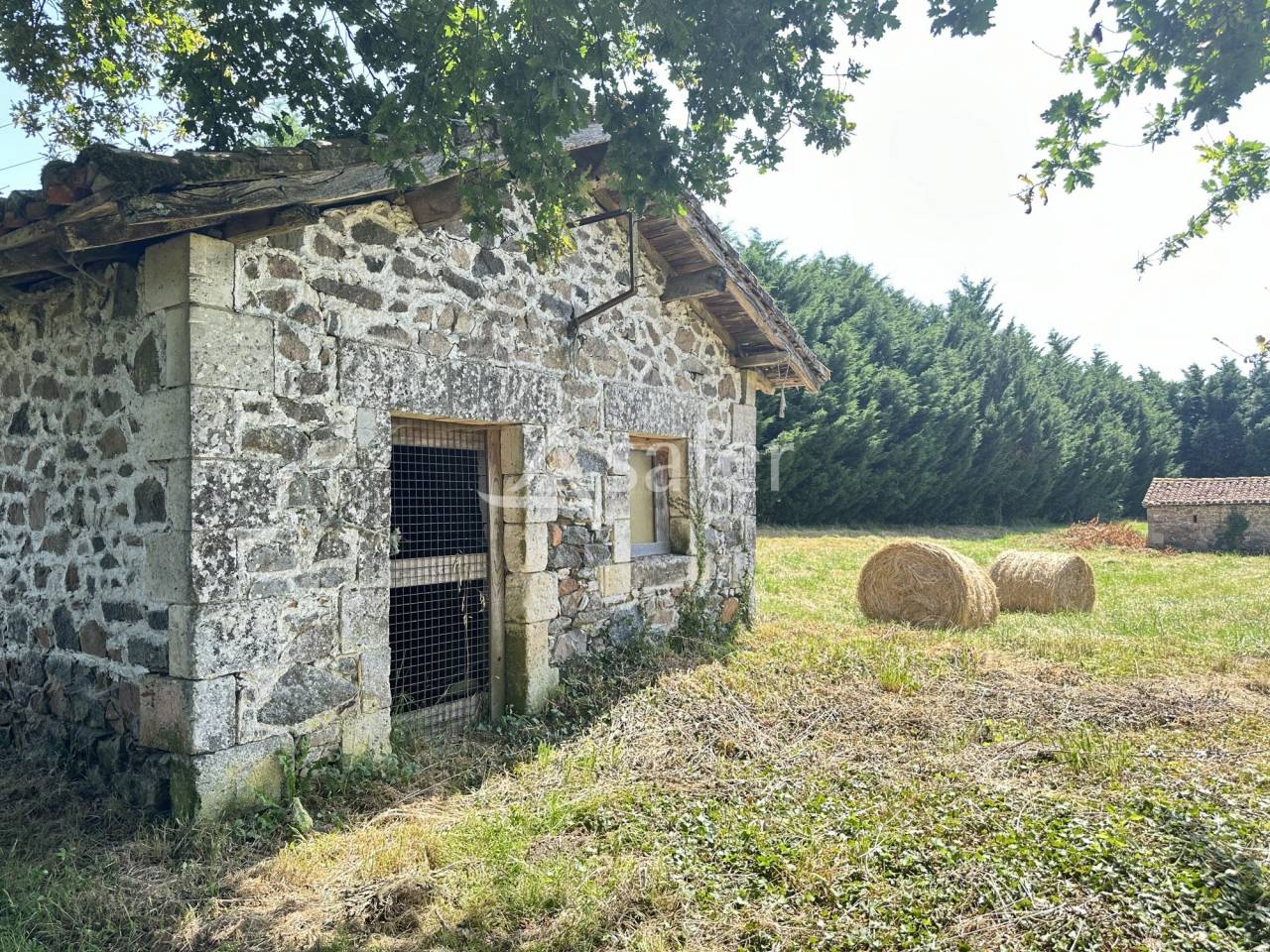 Azienda agricola In vendita Charente