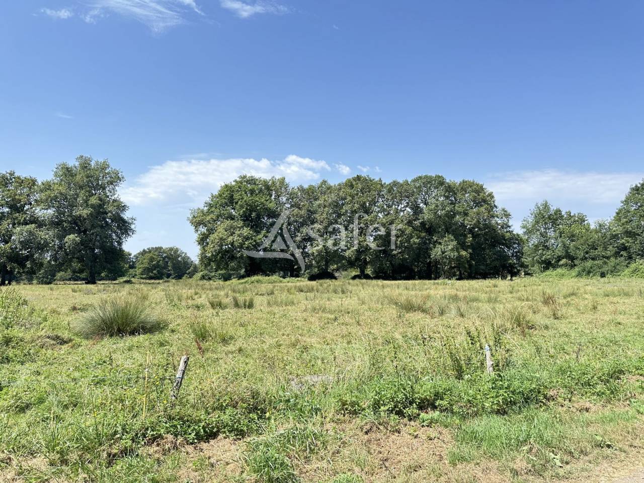 Azienda agricola In vendita Charente