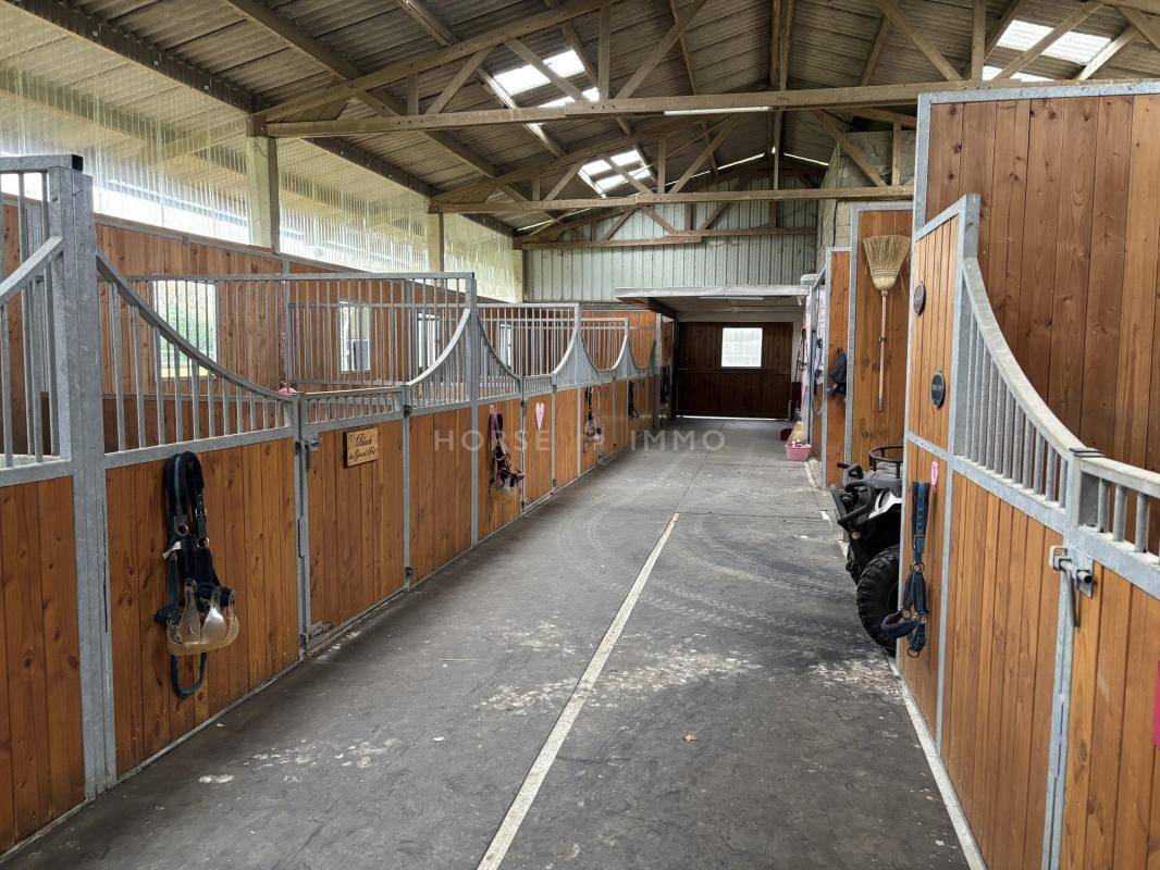 Propriet&agrave; equestre In vendita Maine-et-Loire