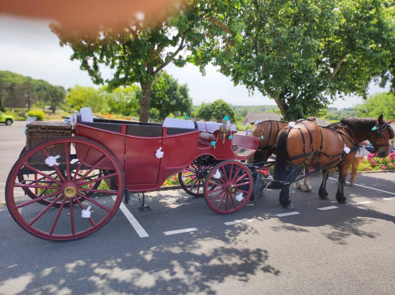 Attacchi - Vis-&agrave;-vis   