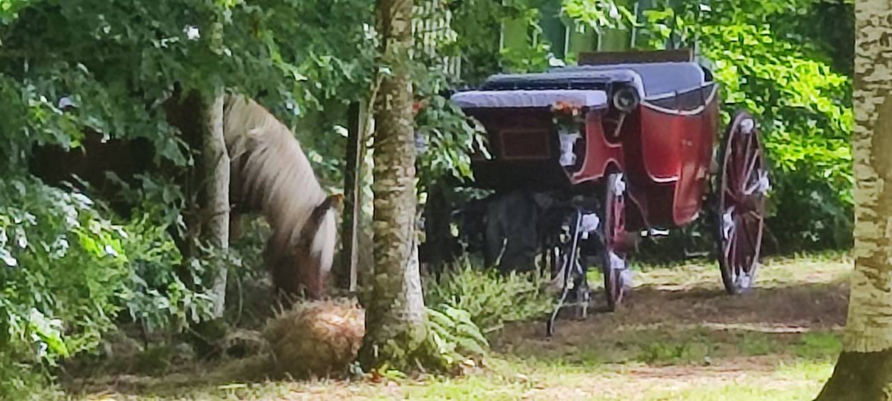 Attacchi - Vis-&agrave;-vis   