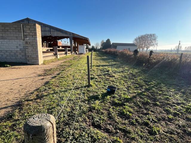 Propriet&agrave; equestre In vendita Gard