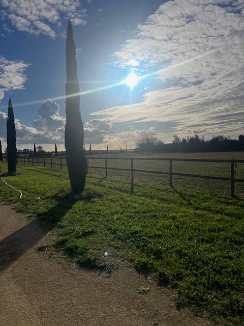 Propriet&agrave; equestre In vendita Gard