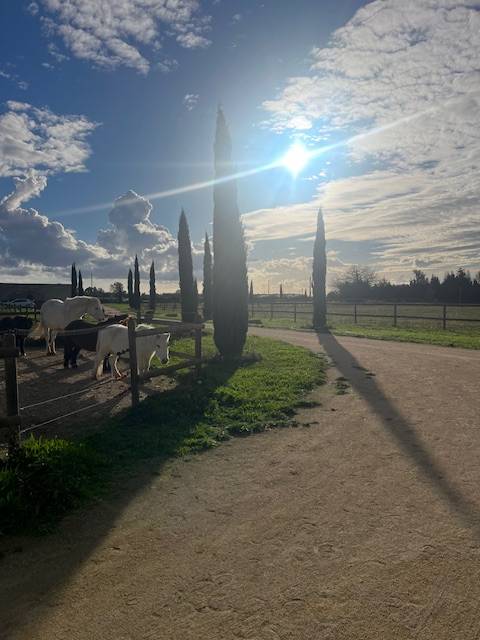 Propriet&agrave; equestre In vendita Gard