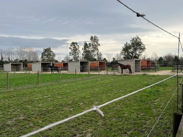 Propriet&agrave; equestre In vendita Gard