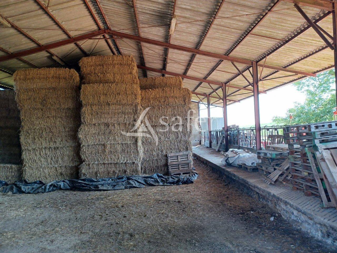 Azienda agricola In vendita Vienne