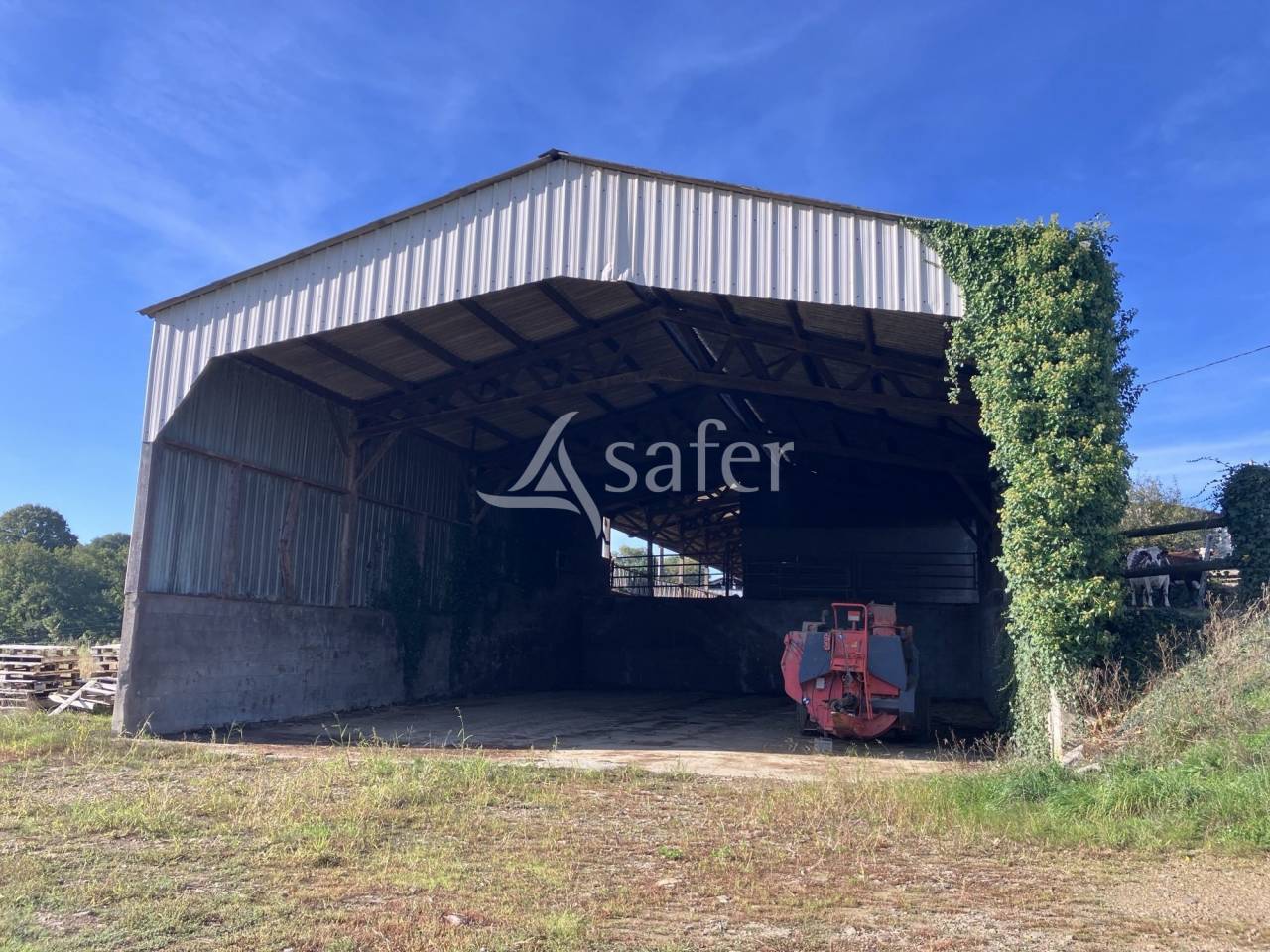 Azienda agricola In vendita Mayenne