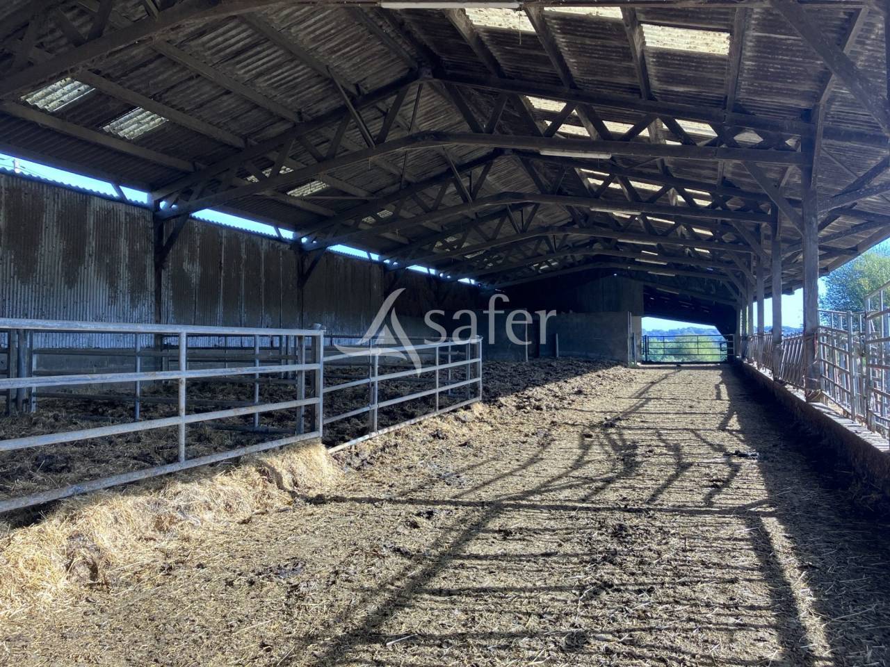 Azienda agricola In vendita Mayenne