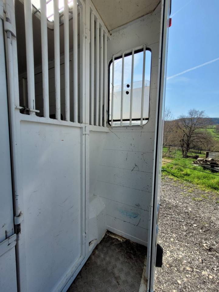 Van per Cavalli Renault Rucel 2005 Occasione