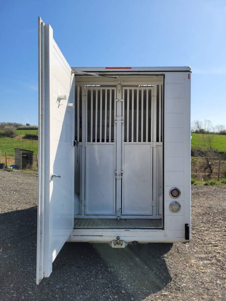 Van per Cavalli Renault Rucel 2005 Occasione