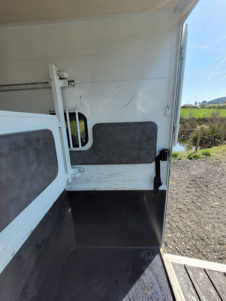 Van per Cavalli Renault Rucel 2005 Occasione