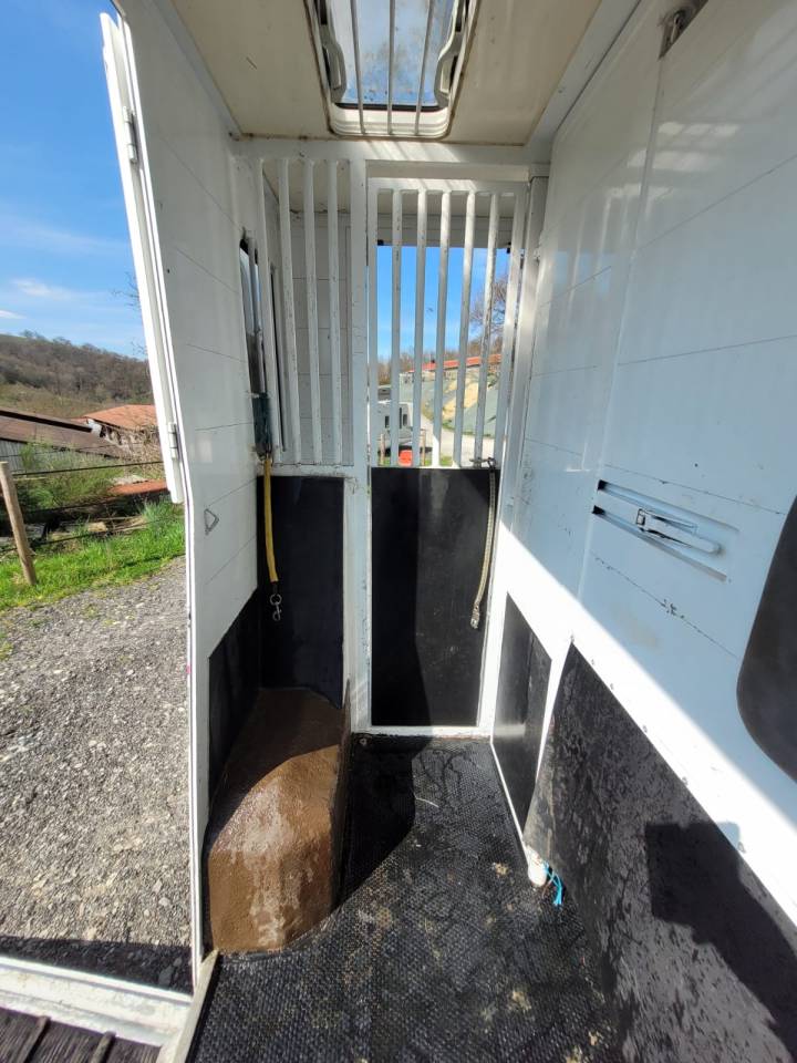 Van per Cavalli Renault Rucel 2005 Occasione