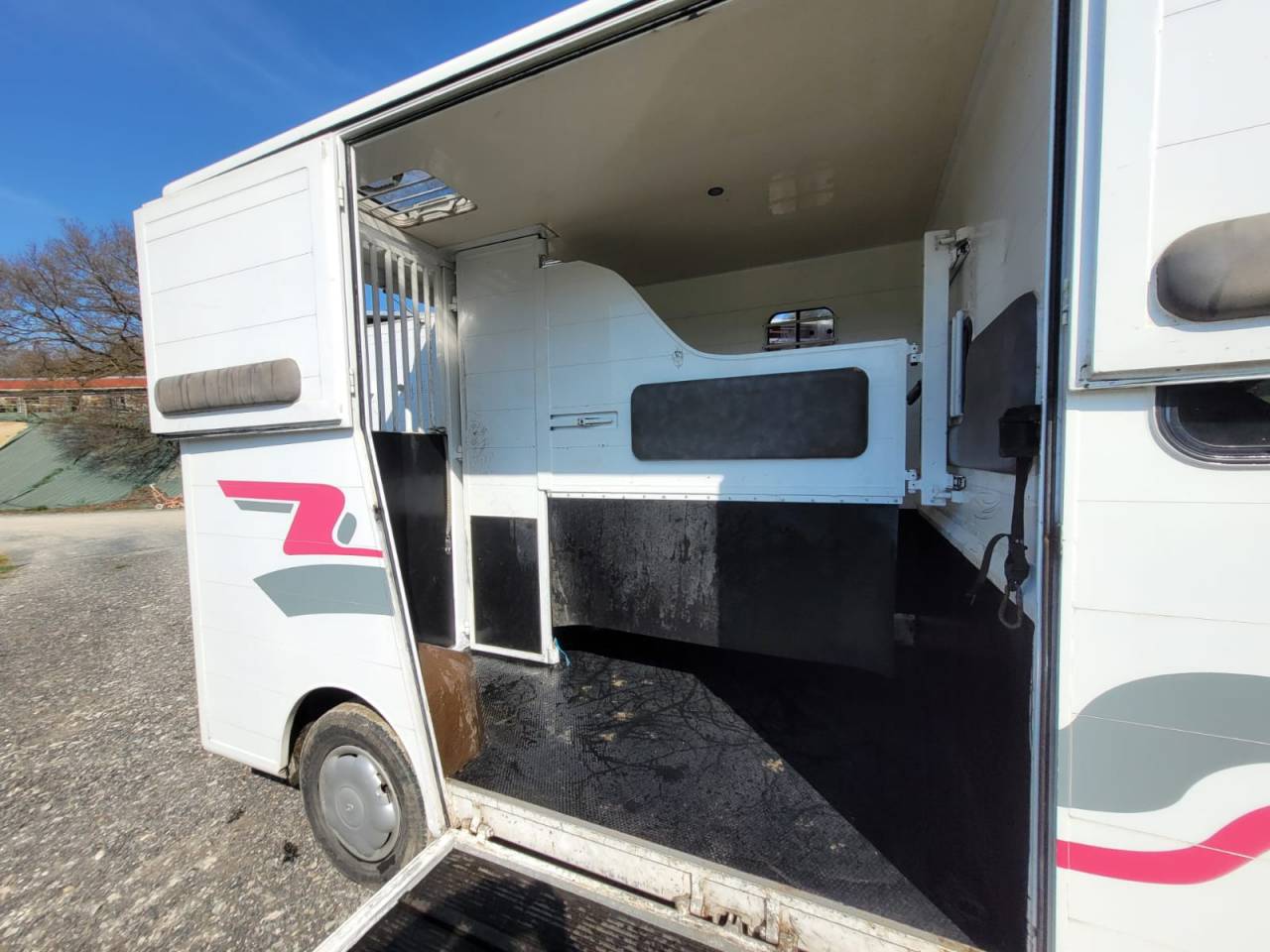 Van per Cavalli Renault Rucel 2005 Occasione