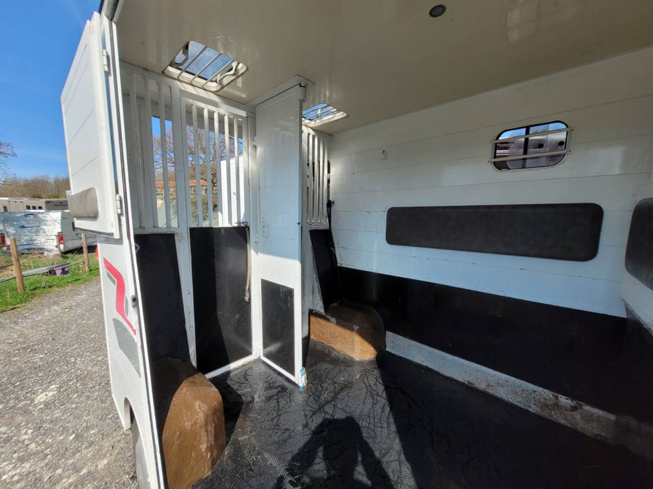 Van per Cavalli Renault Rucel 2005 Occasione