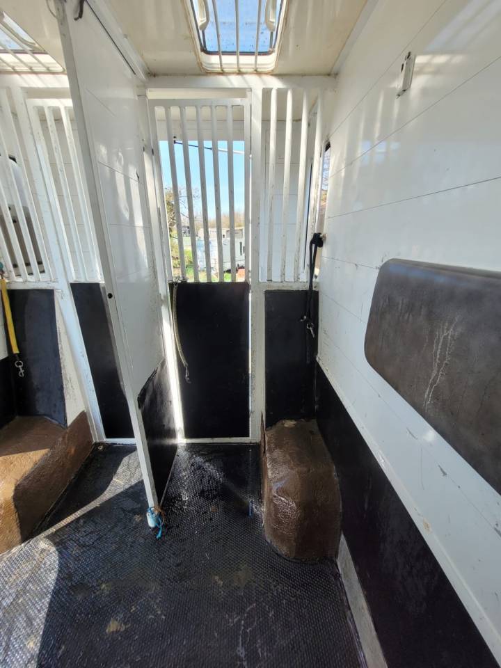 Van per Cavalli Renault Rucel 2005 Occasione