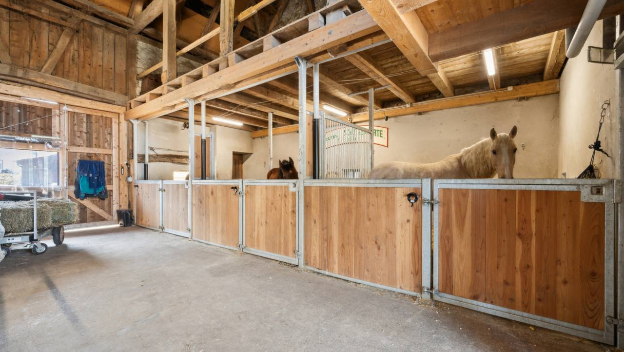 Propriet&agrave; equestre In vendita Jura-Suisse