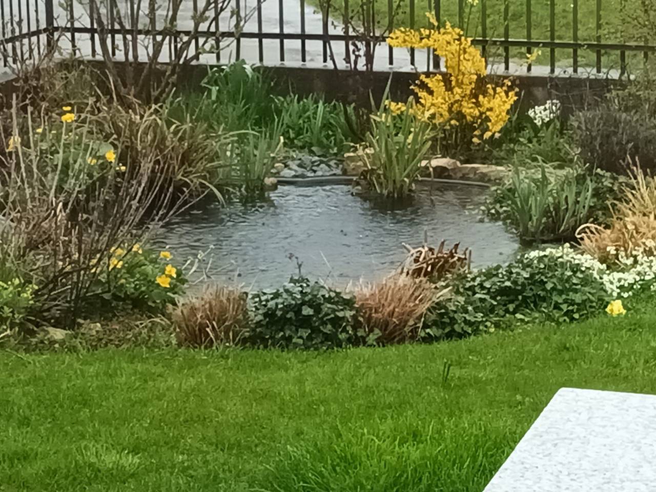 Propriet&agrave; equestre In vendita Jura-Suisse