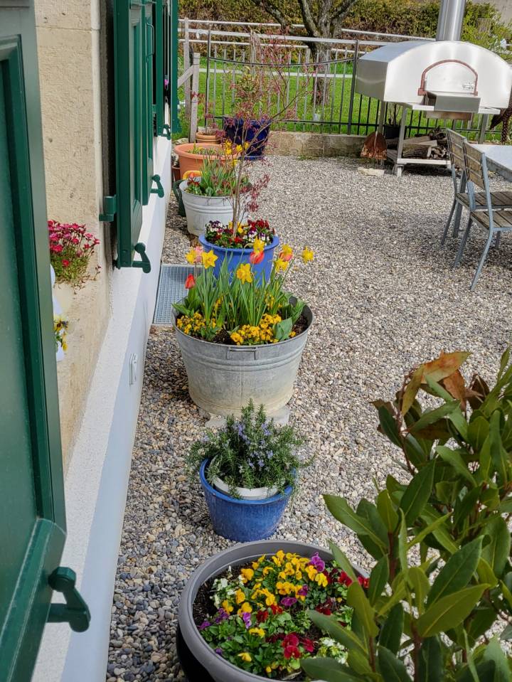 Propriet&agrave; equestre In vendita Jura-Suisse