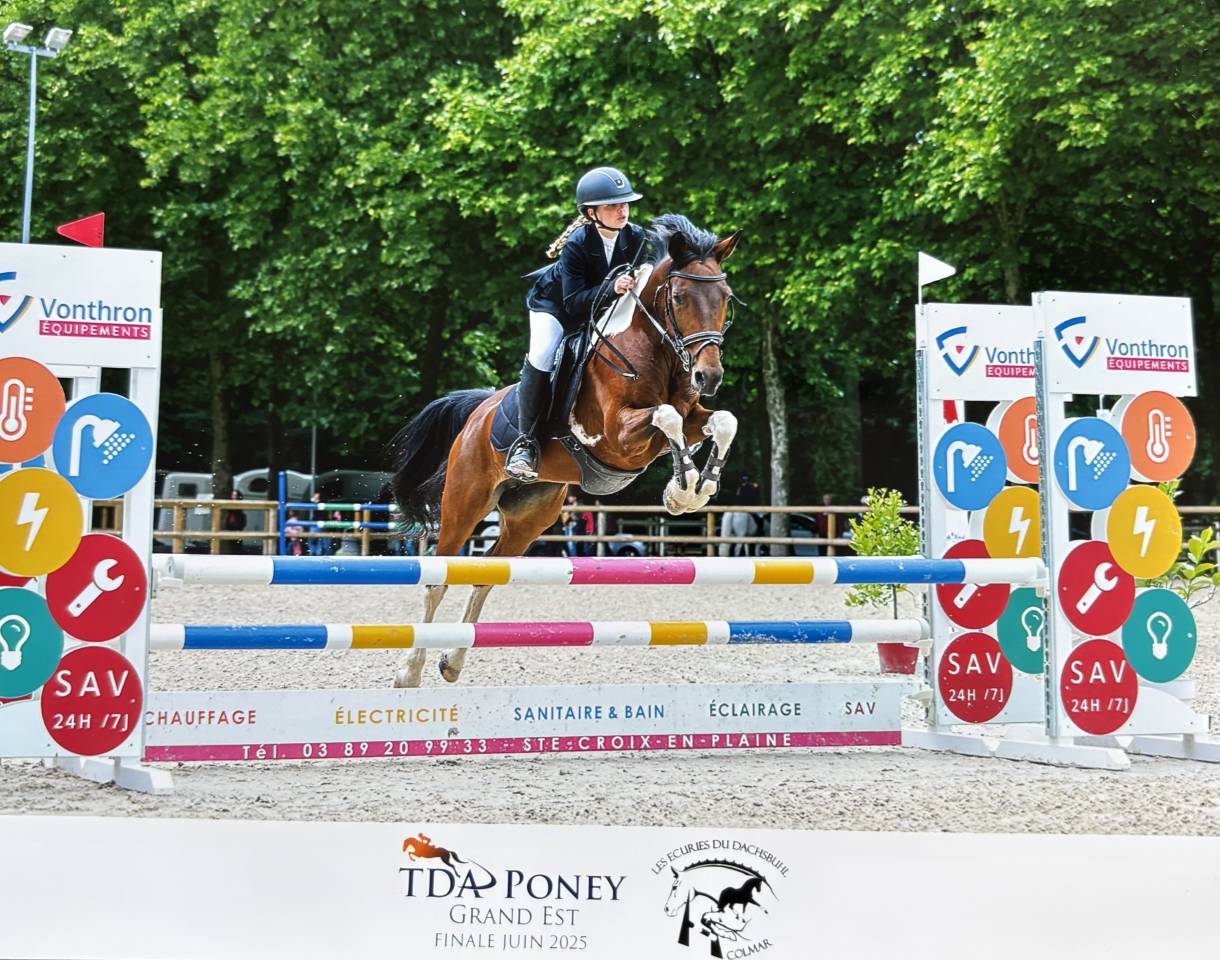 Cavalla Altre Razze di Pony In vendita 2014 Altro colore