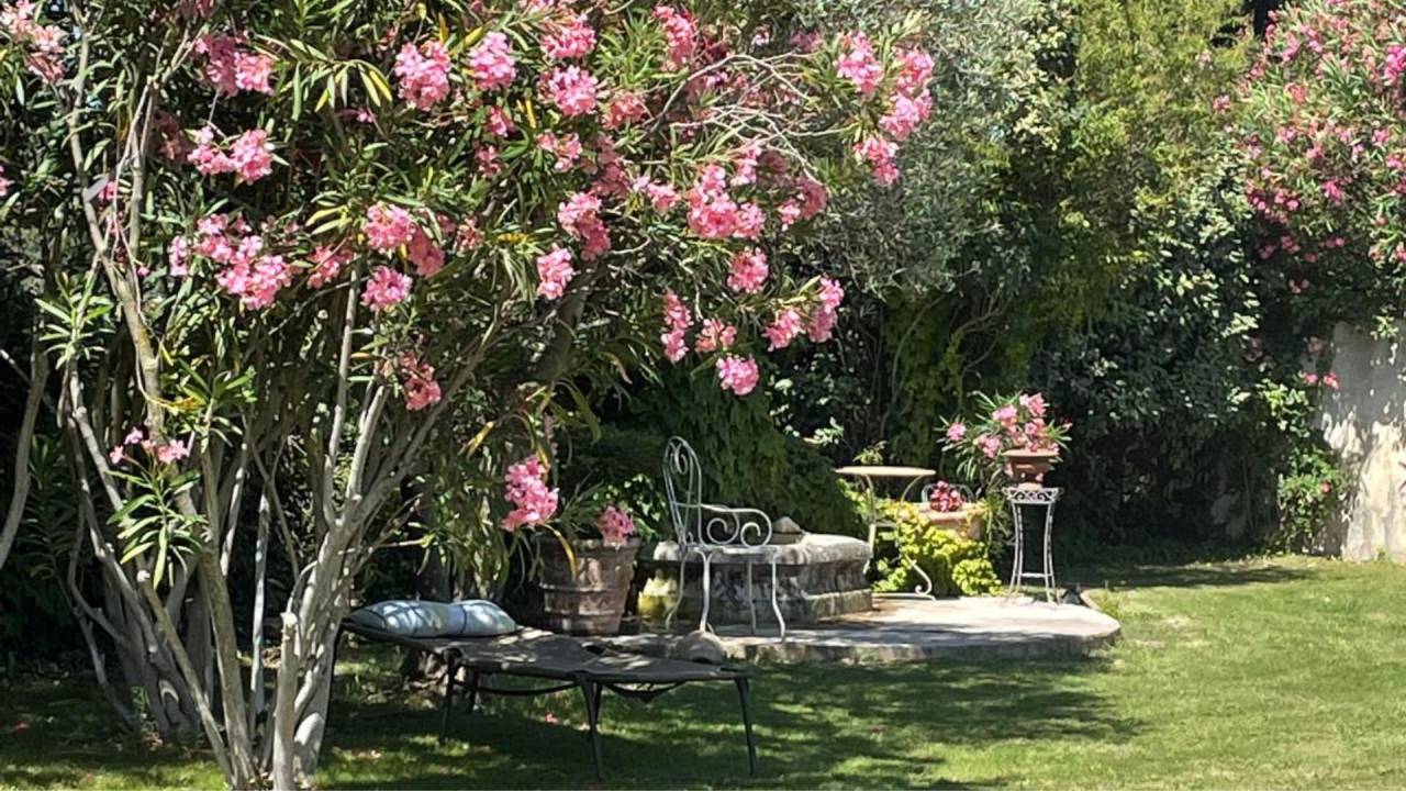 Propriet&agrave; equestre In vendita Bouches-du-Rh&ocirc;ne