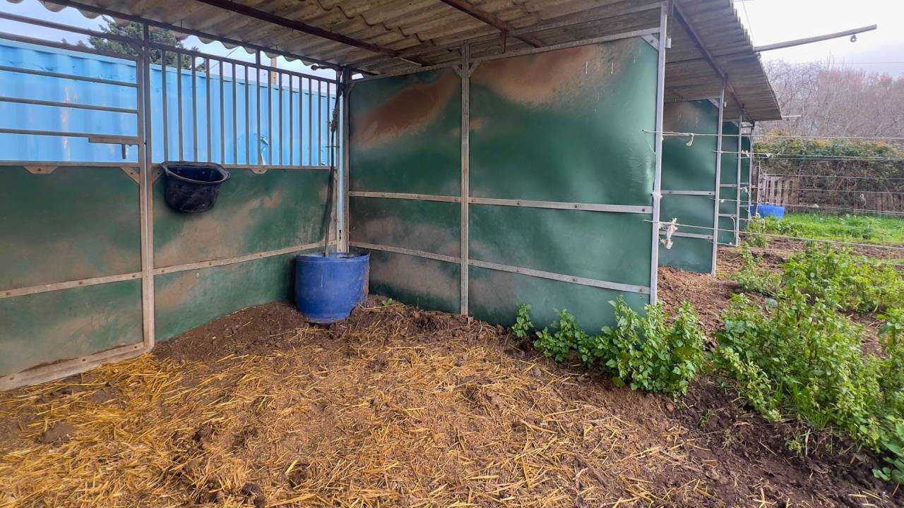 Propriet&agrave; equestre In vendita Bouches-du-Rh&ocirc;ne