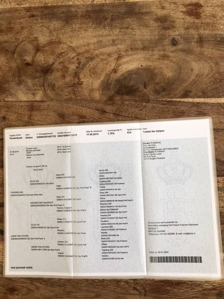 Castrone Frisone In vendita 2014 Nero