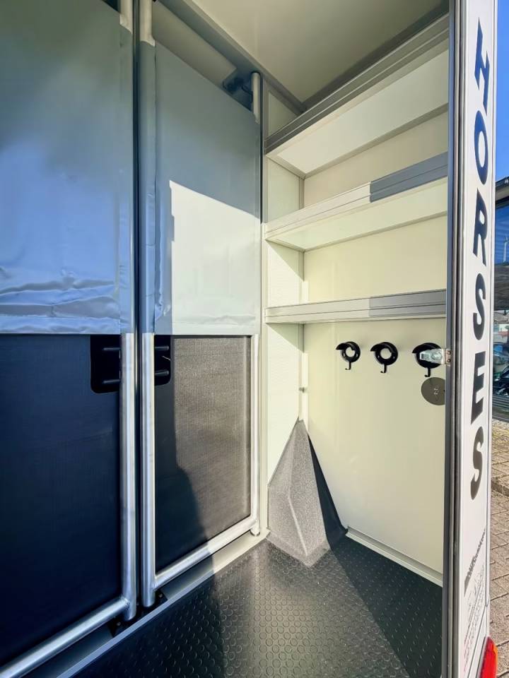 Van per Cavalli Renault RENAULT 0 Nuovo