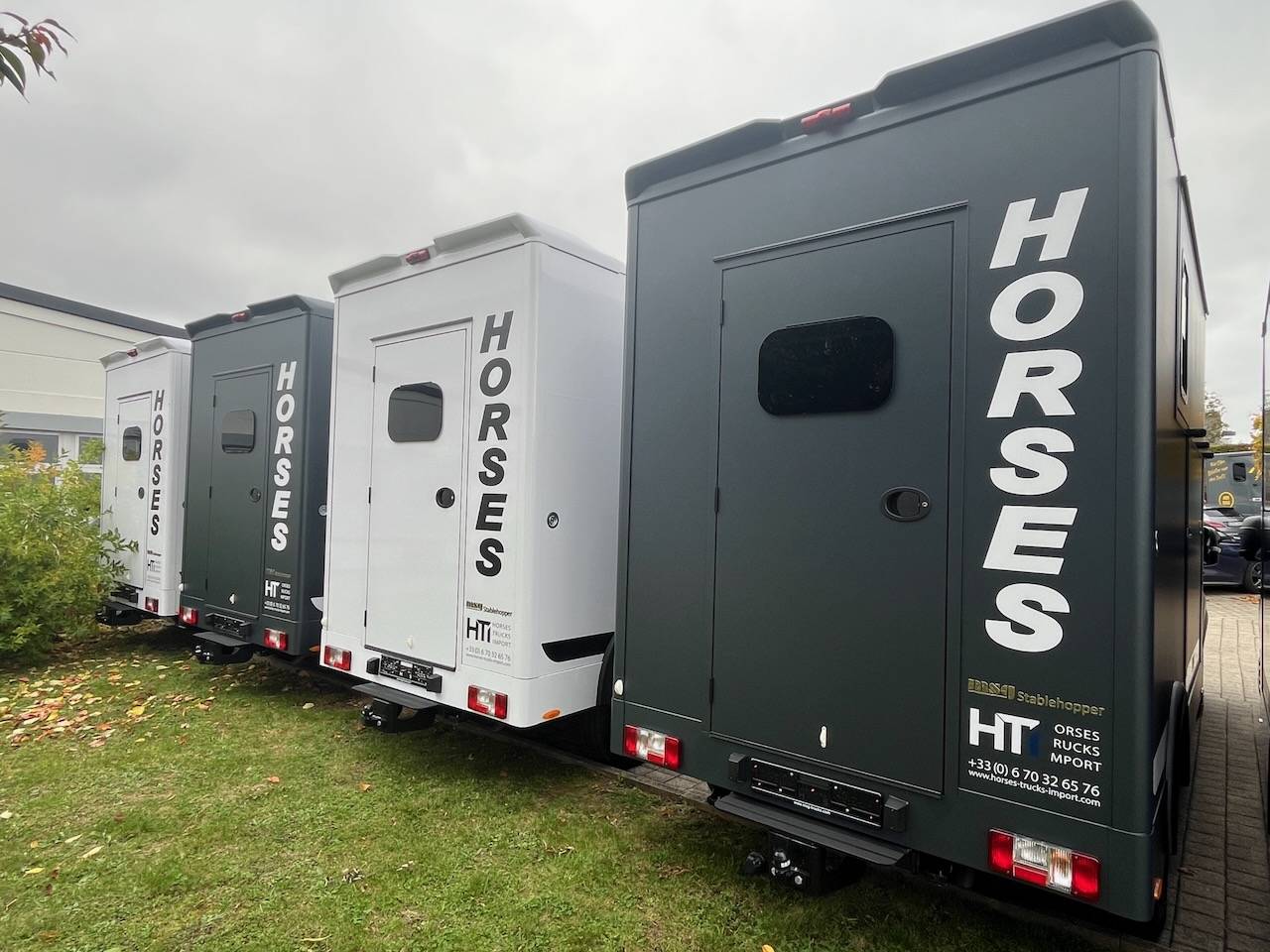 Van per Cavalli Altra marca MAXUS 0 Nuovo