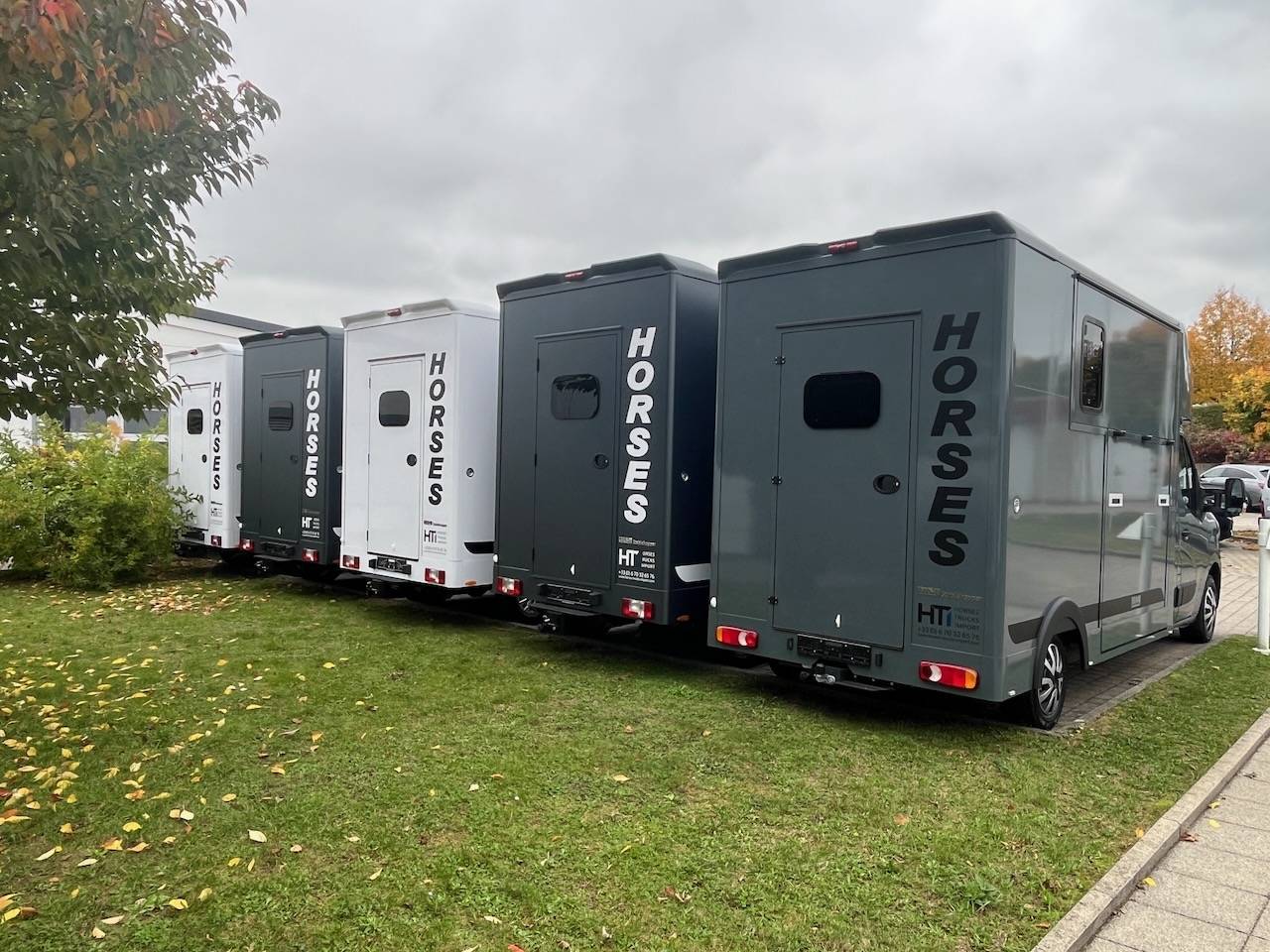 Van per Cavalli Altra marca MAXUS 0 Nuovo