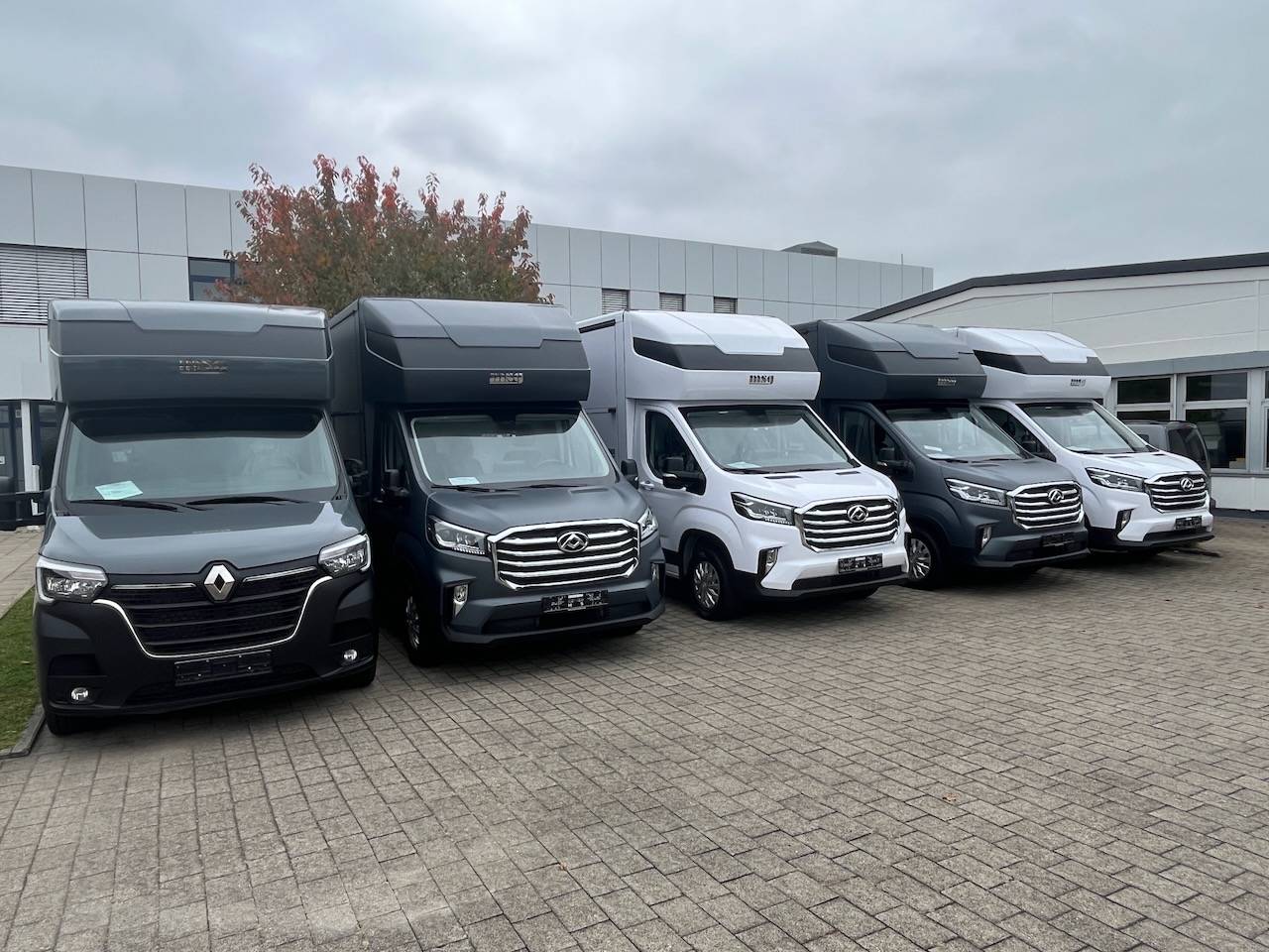 Van per Cavalli Altra marca MAXUS 0 Nuovo