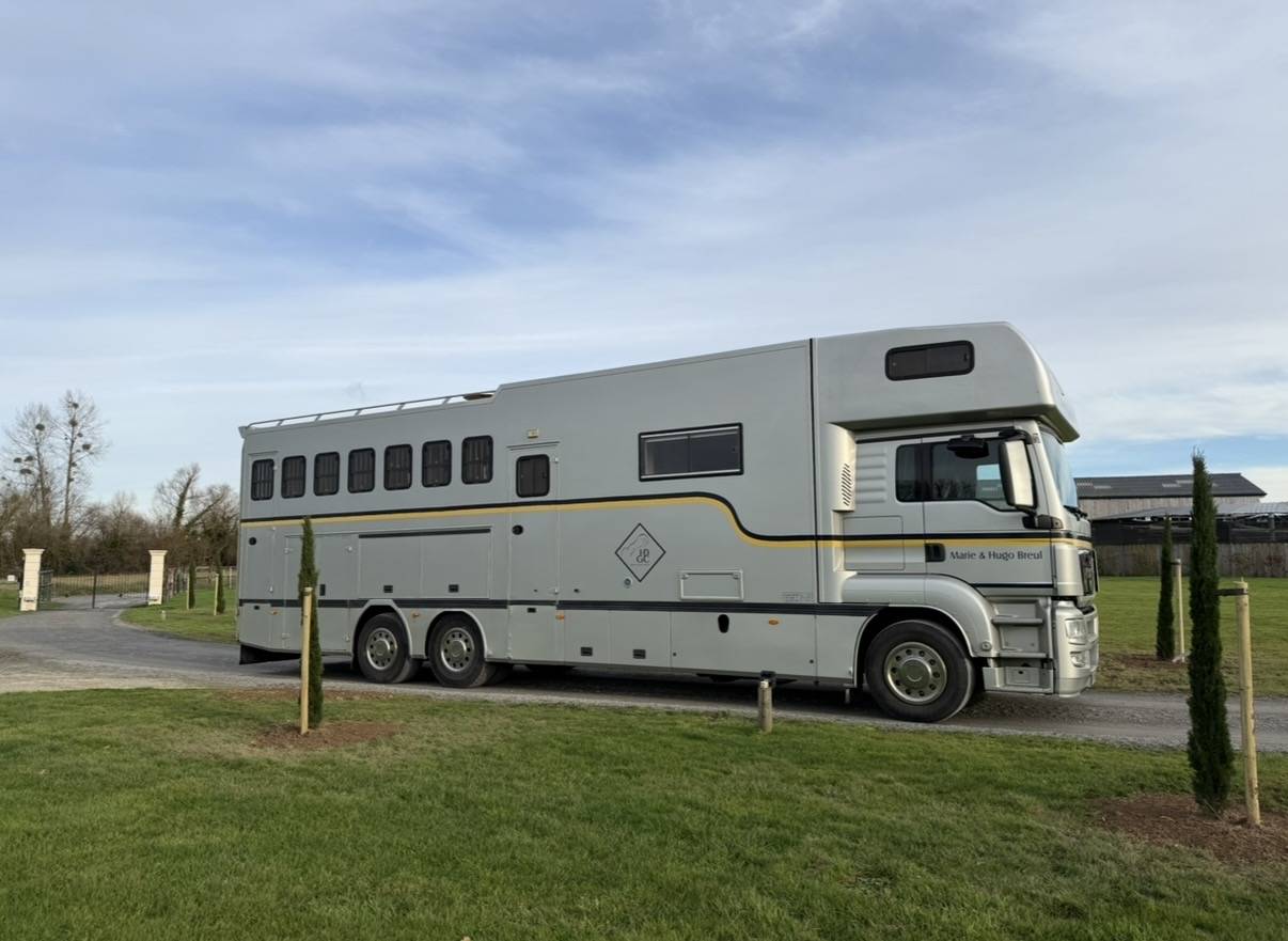 Camion per Cavalli Man 400 chx double essieu  2010 Occasione