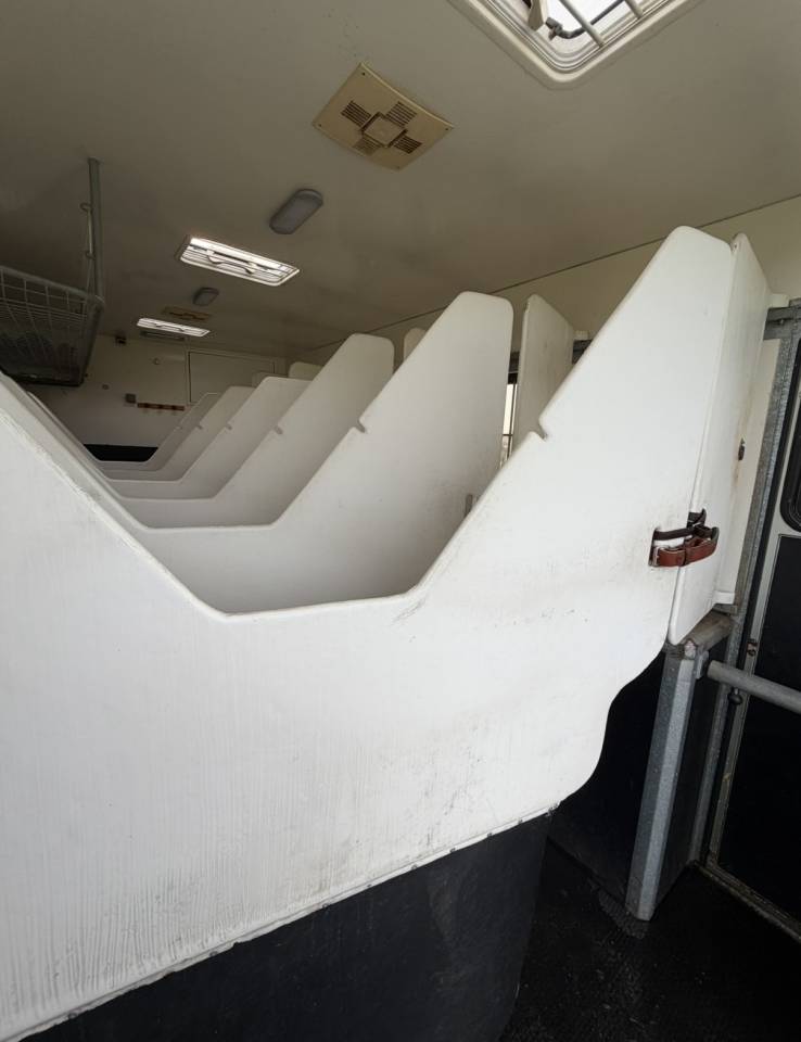 Camion per Cavalli Man 400 chx double essieu  2010 Occasione