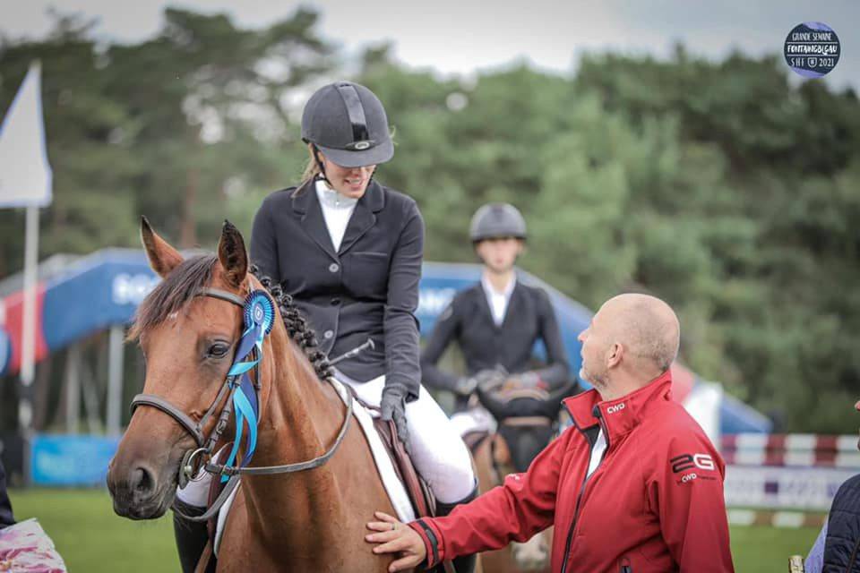 Cavalla Sella Francese In vendita 2015 Baio