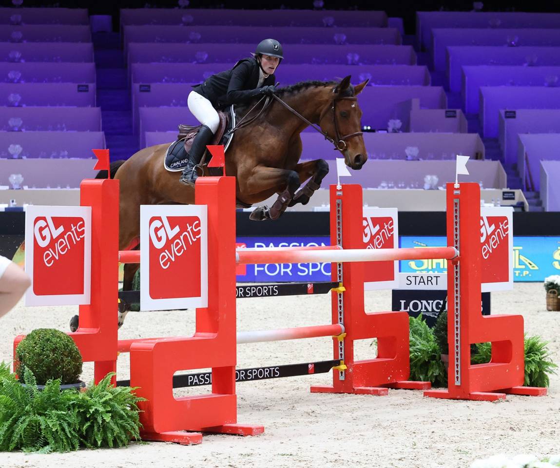 Cavalla Sella Francese In vendita 2015 Baio