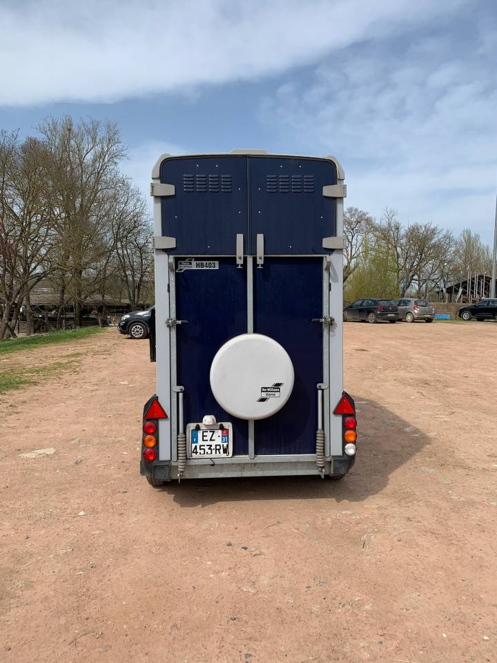 Trailer Ifor Williams HB403 1,5 Cavalli 2018 Occasione