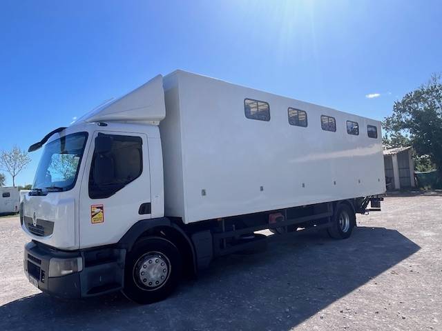 Camion per Cavalli Renault  2013 Occasione