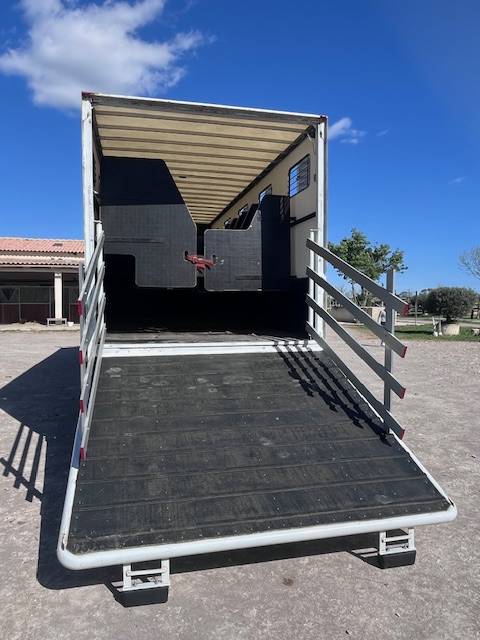 Camion per Cavalli Renault  2013 Occasione