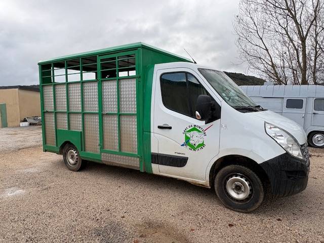 Van per Cavalli Renault  2012 Occasione