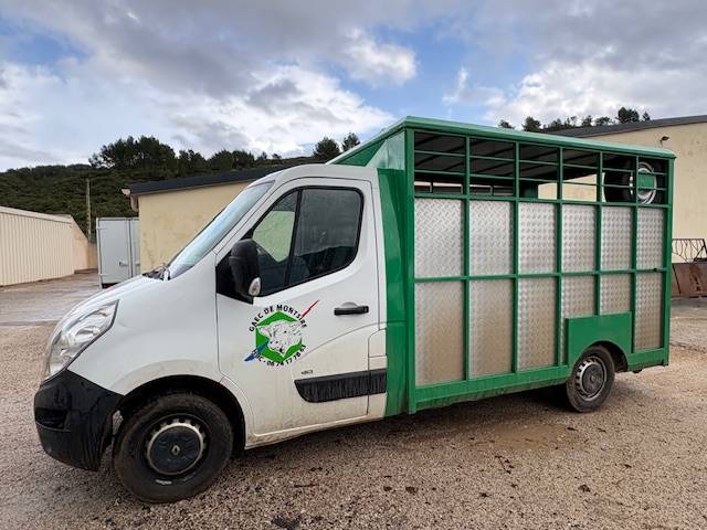 Van per Cavalli Renault  2012 Occasione