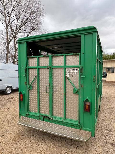 Van per Cavalli Renault  2012 Occasione