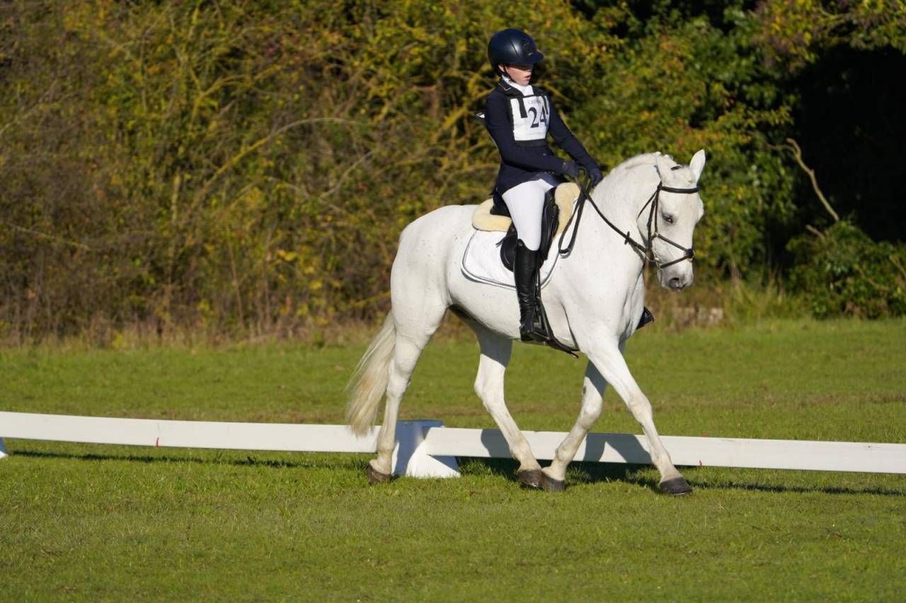 UNCLE DU COLOMBIER Pony FEI