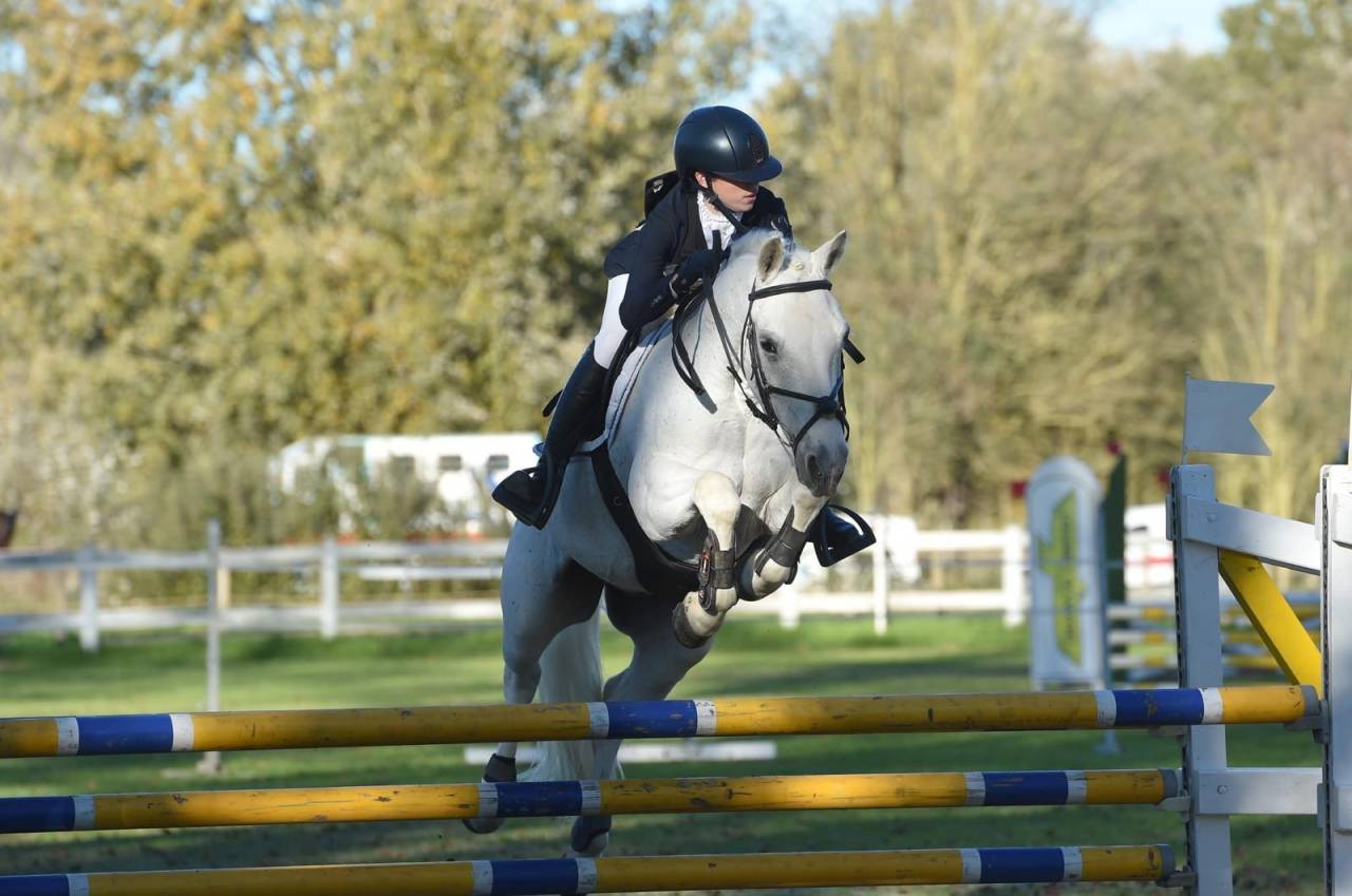 UNCLE DU COLOMBIER Pony FEI