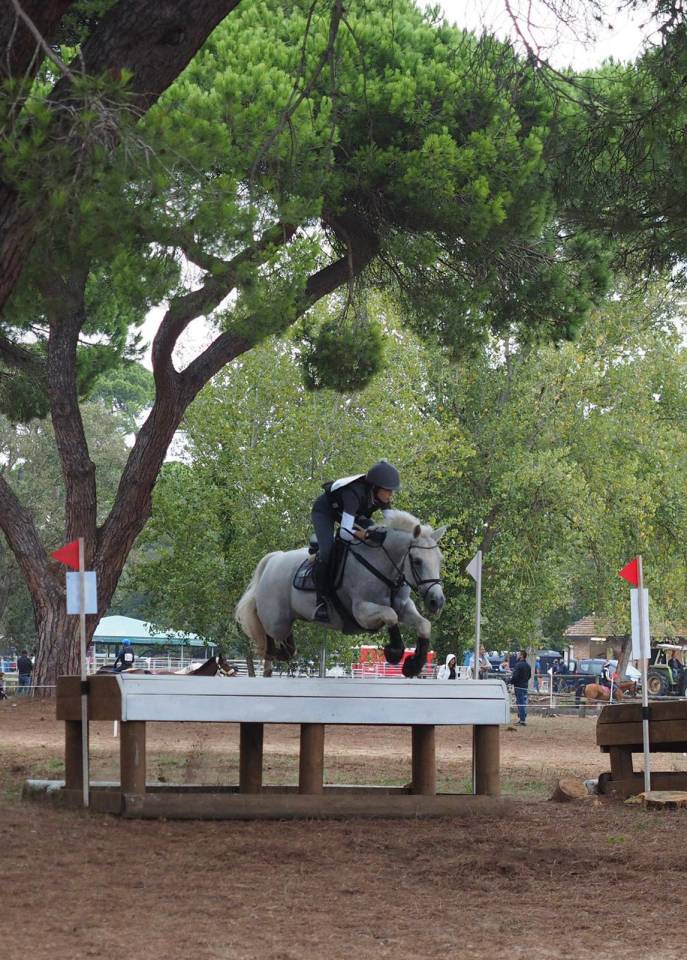 UNCLE DU COLOMBIER Pony FEI