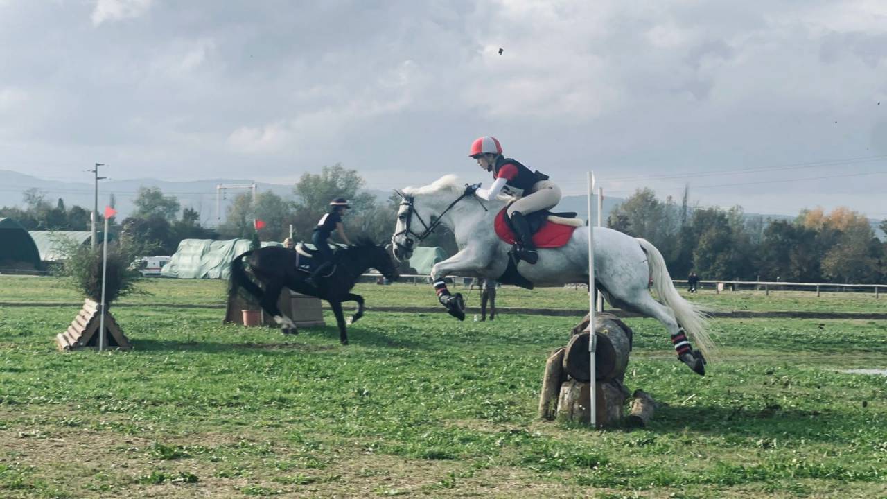 UNCLE DU COLOMBIER Pony FEI