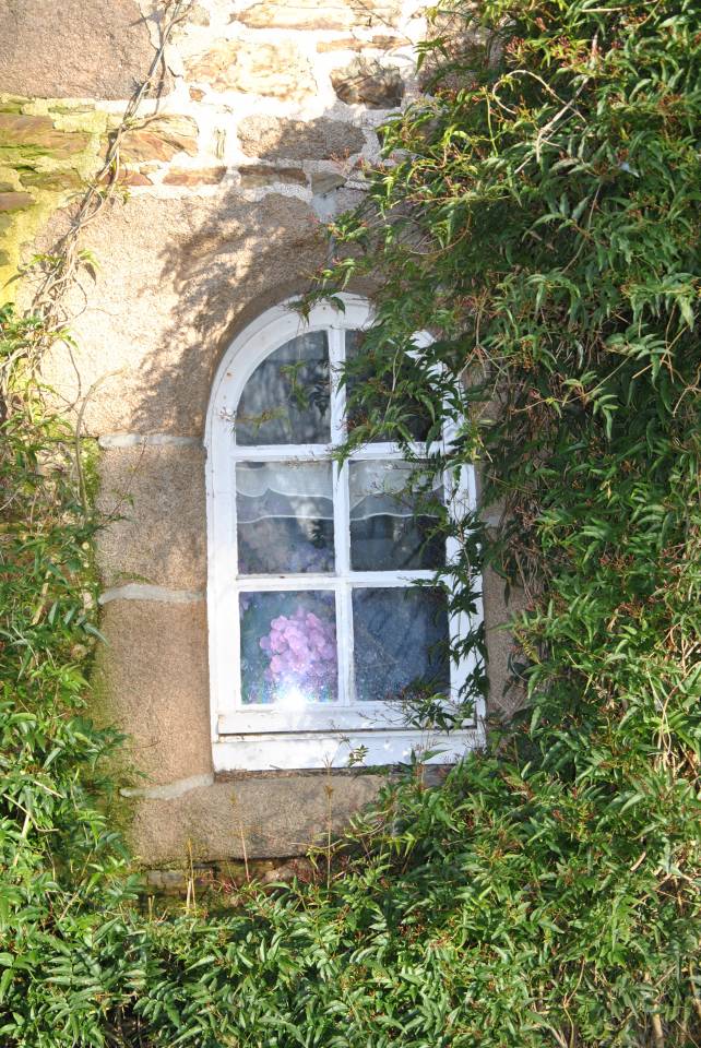 Bella dimora equestre In vendita C&ocirc;te d'Armor