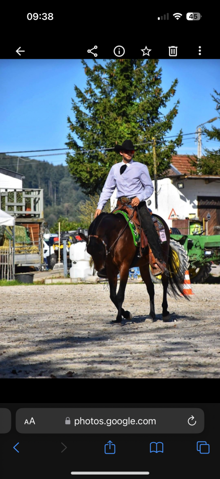 Castrone Appaloosa In vendita 2020 Altro colore ,  Little laser sagiran
