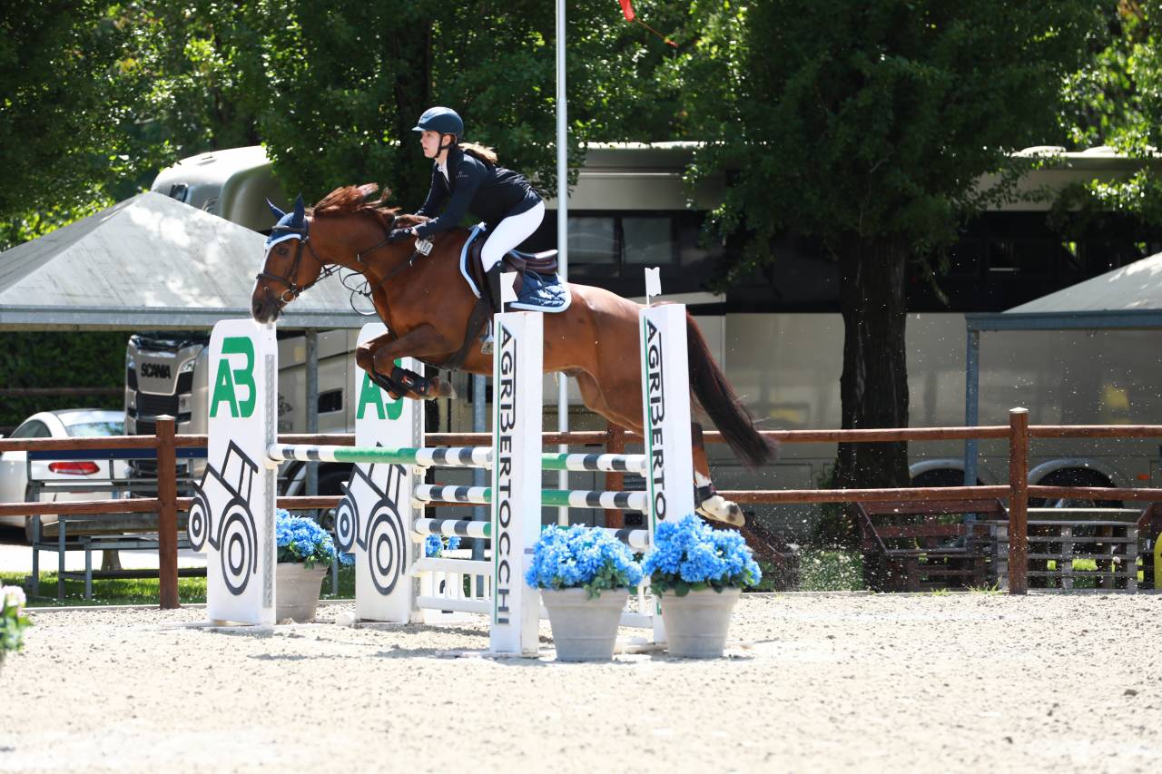 castrone sauro  in vendita 